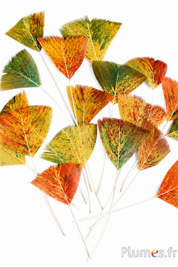 Blütenblätter aus Federn - 6-8 cm x 3-4 cm - Herbst